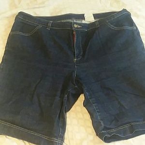 Blue Jean denim  Dickies Shorts